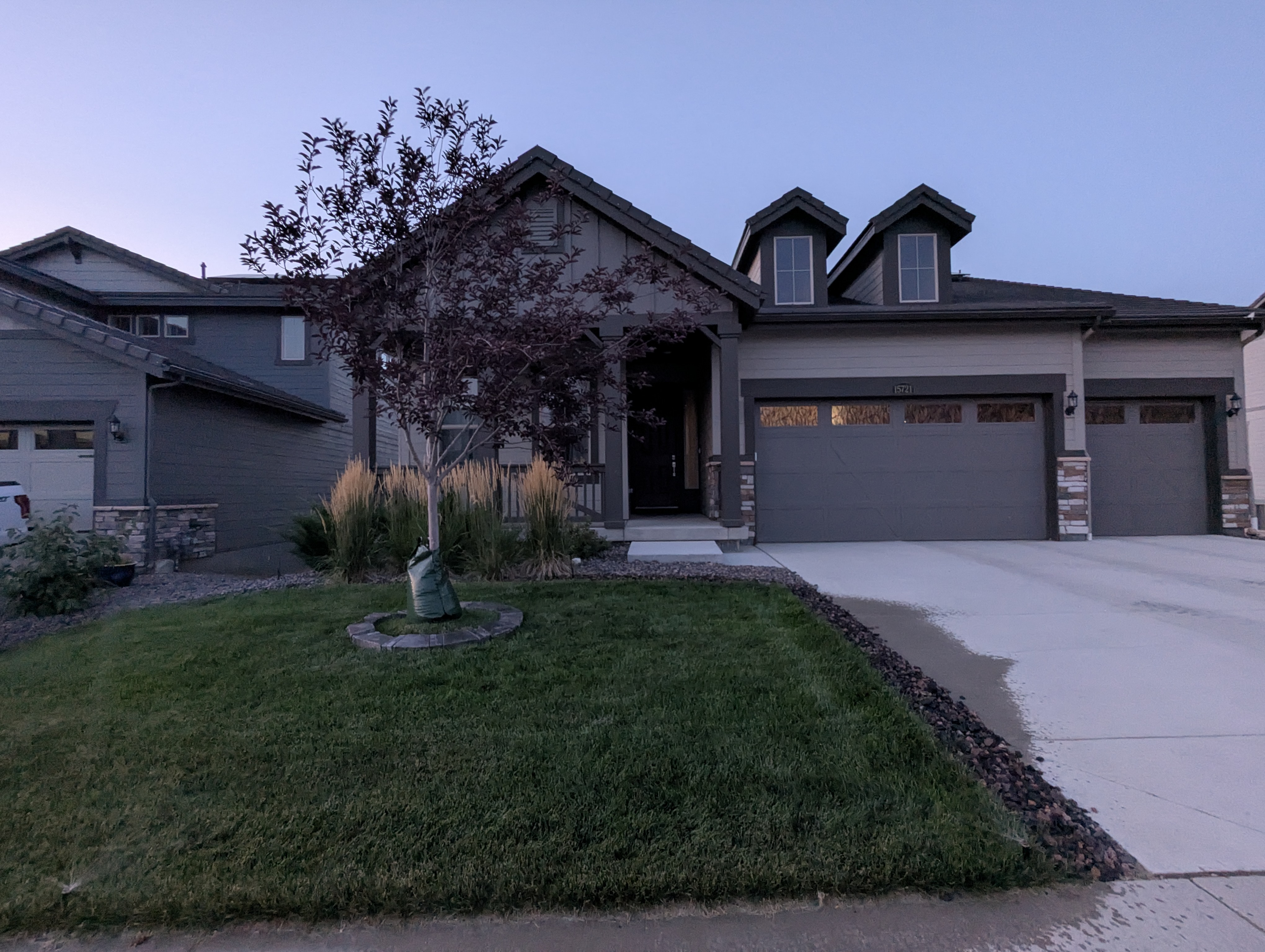 Tree Ring, Home Improvement, Morrison, Colorado